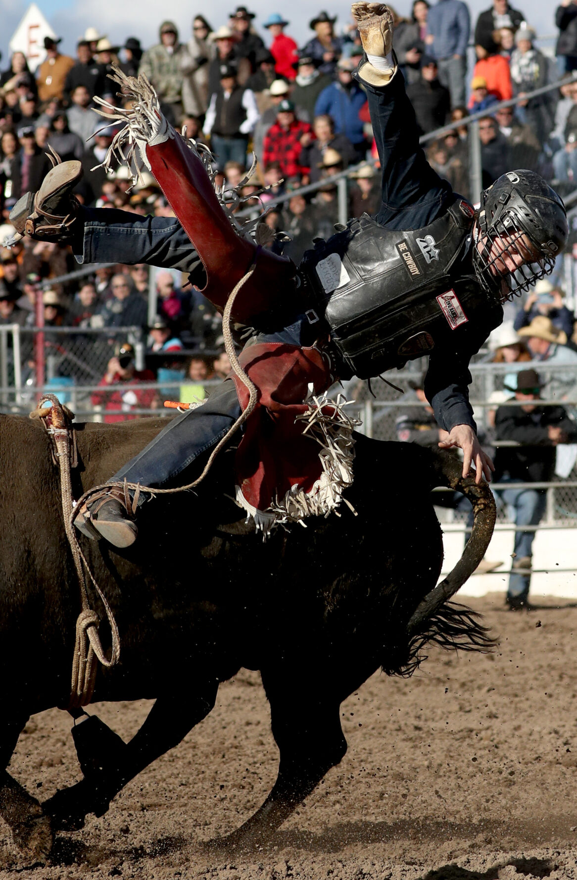 Fiesta de los Vaqueros Tucson Rodeo